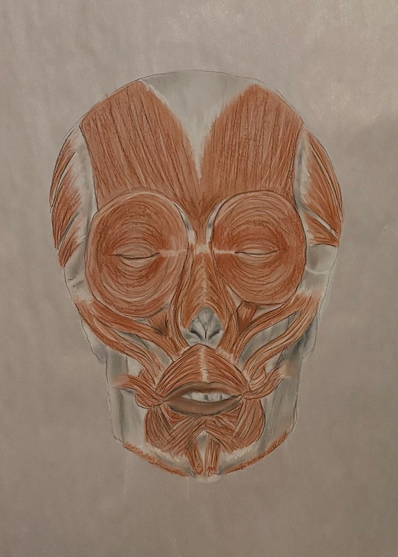 Life Drawing — image 8