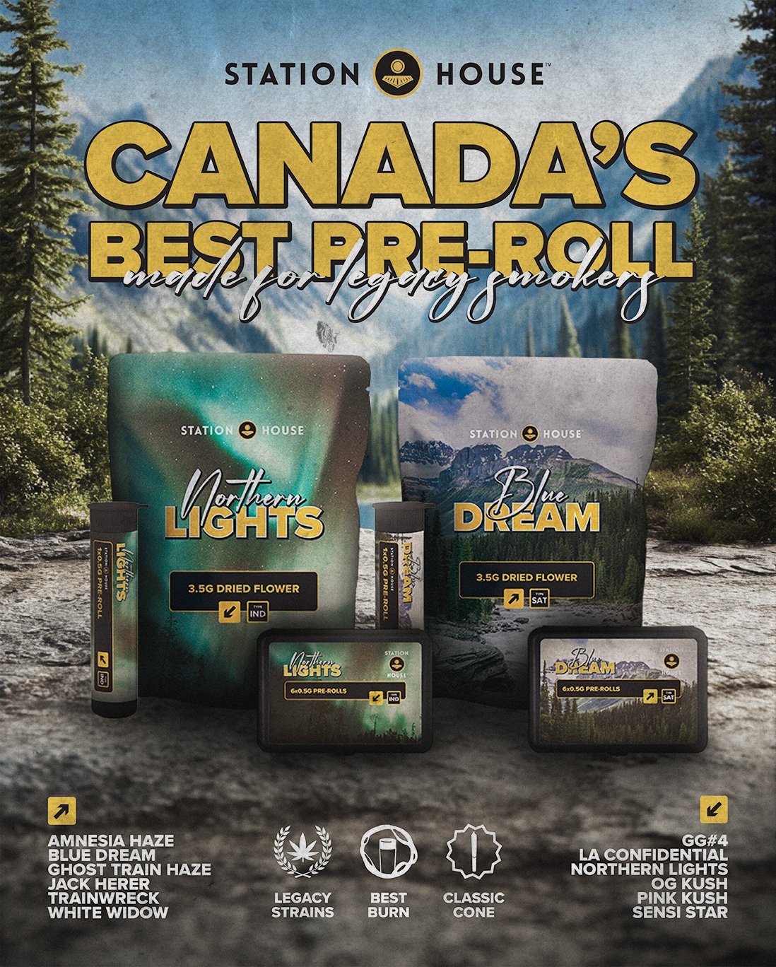 Social Media — image 4