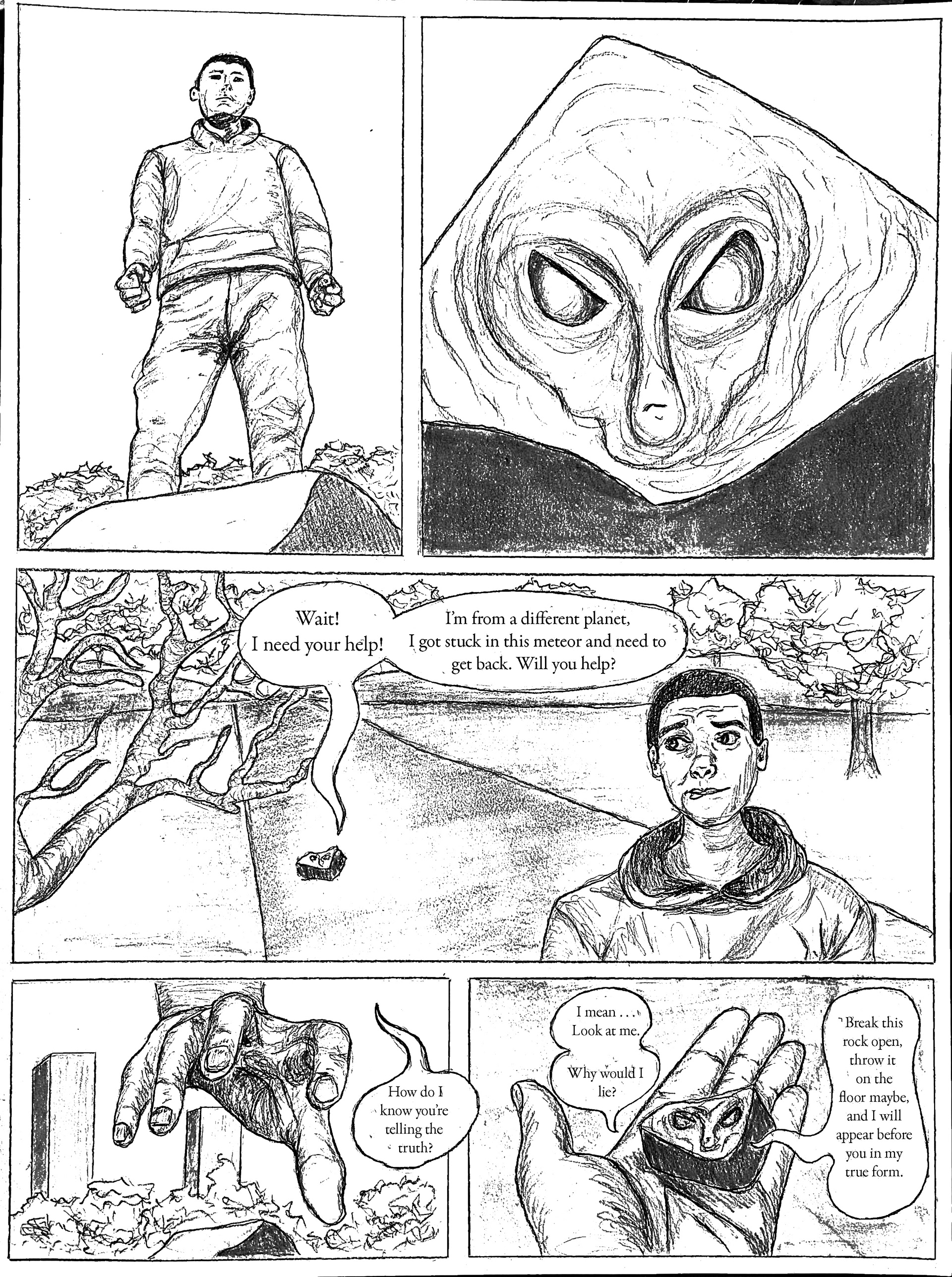 The Magic Rock — image 2